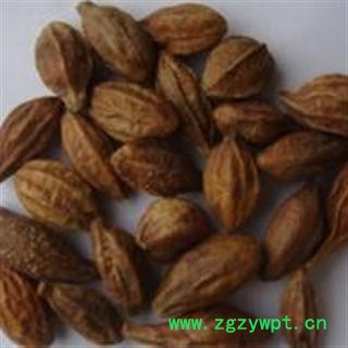 平安药业 金诃子 正品 金柯子 金苛子图2