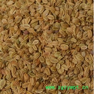 小丽百草行蛇床子  蛇米 各种价位 蛇床子水洗货图2