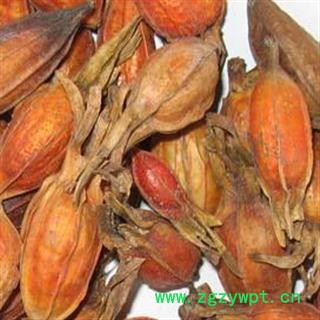 小丽百草行栀子 花草茶栀子栀子花茶 红栀子 栀子 山栀子栀子图3