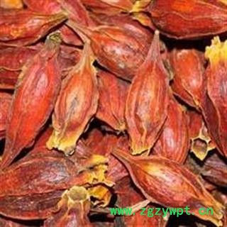 小丽百草行栀子 花草茶栀子栀子花茶 红栀子 栀子 山栀子栀子图2