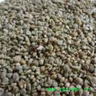 小丽百草行中药材菠菜籽 菠菜子 菠菜籽图2