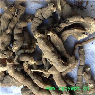 芝春堂 雪里开根 产地 贵州 雪里开 雪里开根（花） 地雷 拐子药 雪里花 支持验货图3