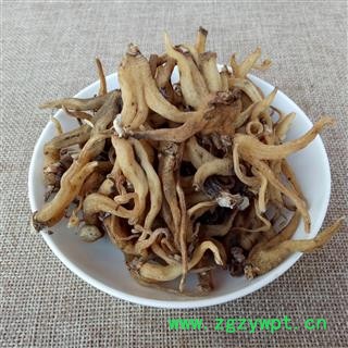 芝春堂 中药材 手掌参 佛手参 货干无杂 提供大量现货 价格优惠图2