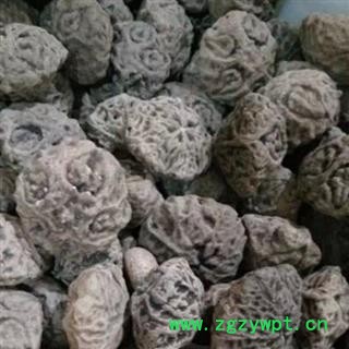 小丽百草行鬼脸 鬼脸菩提 鬼脸核桃鬼脸菩提子 大果 原籽 佛珠图2