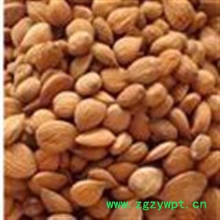 小丽百草行中药材杏仁 苦杏仁 无杂图2