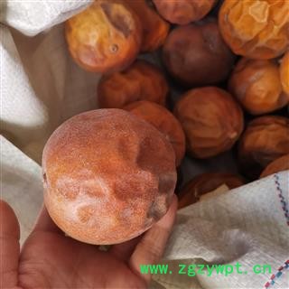 小丽百草行瓜蒌 瓜蒌个整个瓜蒌今年新货图2