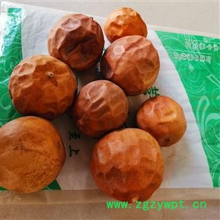 小丽百草行瓜蒌 瓜蒌个整个瓜蒌今年新货图3