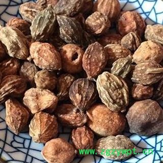 小丽百草行益智 益智仁 好统货 颜色好 味道足图2