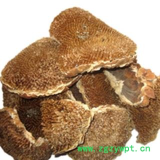 小丽百草行中药材向日葵花盘图2
