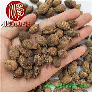 砂仁壳砂仁统货散装1公斤起批云南产地直供川蜀山农中药材批发图4