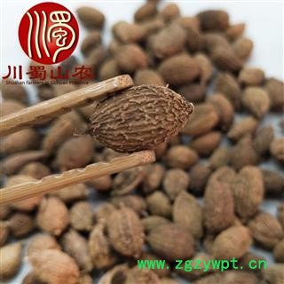 砂仁壳砂仁统货散装1公斤起批云南产地直供川蜀山农中药材批发图2