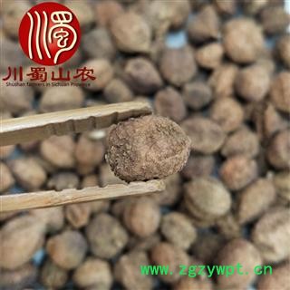 阳春砂仁带壳选货散装产地直供砂仁川蜀山农中药材批发图2