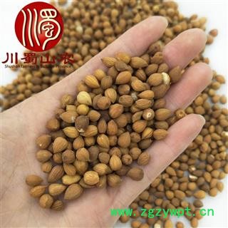 郁李仁无硫选货散装1公斤起批产地直供川李仁肉蜀山农中药材批发图2