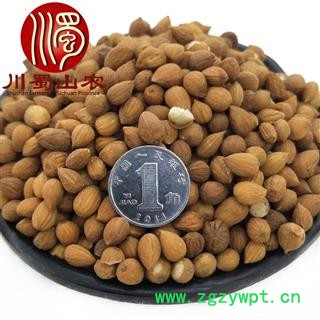 郁李仁无硫选货散装1公斤起批产地直供川李仁肉蜀山农中药材批发图3