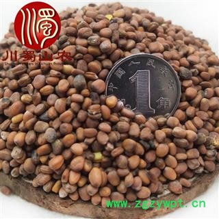 莱菔子无硫选货散装1公斤起批产地直供川蜀山农中药材批发图3