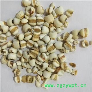 薏米 国产薏苡仁95米 产地 贵州省图2