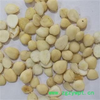 苦杏仁 去皮苦杏仁选 产地 山东省图2