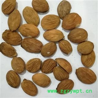 桃仁 扁桃仁选货 产地 山东省图2