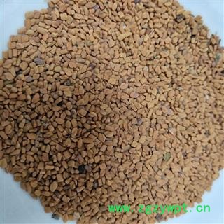 胡芦巴 国产胡芦巴统货 产地 山东省图2