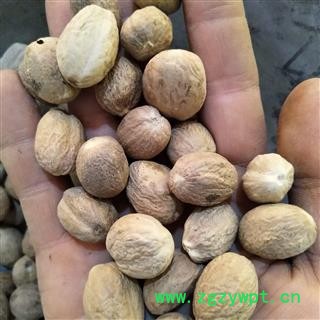 肉豆蔻 肉豆蔻统货 产地 广西壮族自治区图3