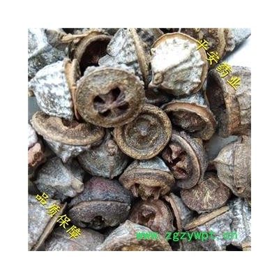 平安药业 一口钟 野红嗽叭花 桉树果 桉树子