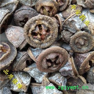 平安药业 一口钟 野红嗽叭花 桉树果 桉树子图2