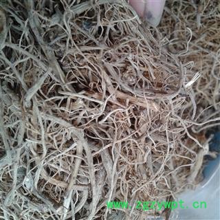 三七 药厂货 产地 云南省文山壮族苗族自治州马关县图4