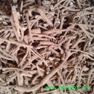 三七 药厂货 产地 云南省文山壮族苗族自治州马关县图2