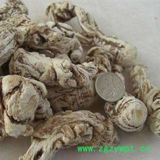 当归 当归头25支 /500g 产地 甘肃省图2