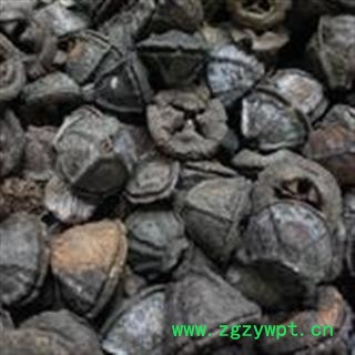 小丽百草行中药材一口钟 扣子七，胜利果   白树球 一口盅 红嗽叭花图2