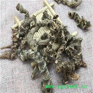 芝春堂 竹节参 白三七 明七 竹根七 萝卜七 蜈蚣七 峨三七 野三七 竹节人参 七叶子 支持验货图2