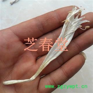 芝春堂 中药材 玉簪花 白玉簪 白鹤花 白玉簪花 支持验货图3
