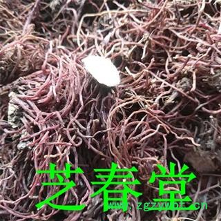 中药材批发产地货源水洗紫苑 干净无硫无杂质紫菀返魂草图4