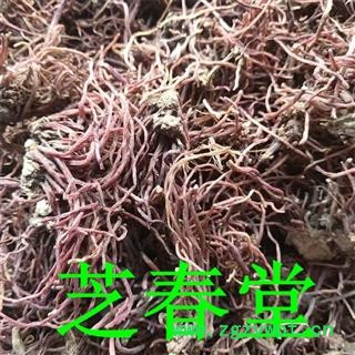 中药材批发产地货源水洗紫苑 干净无硫无杂质紫菀返魂草图2