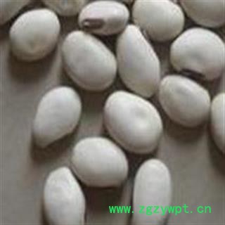 小丽百草行供应白刀豆 无硫新货 产地直销 支持验货图2