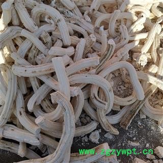 小丽百草行向日葵髓 向日葵花盘图3