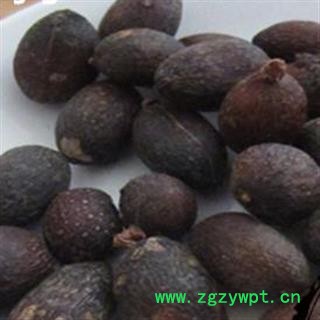 葵树子 葵扇子 葵树籽 蒲葵子图2