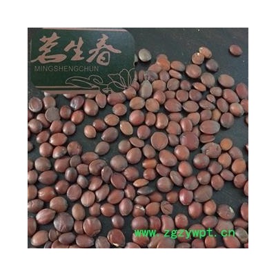 出口手选酸枣仁 茗生春药材总公司 一手货源  7天无理由退换