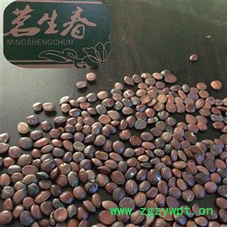 出口手选酸枣仁 茗生春药材总公司 一手货源  7天无理由退换图2