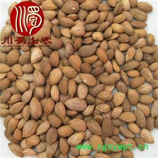 山桃仁无硫统货散装1公斤起批产地直供川蜀山农中药材批发图4