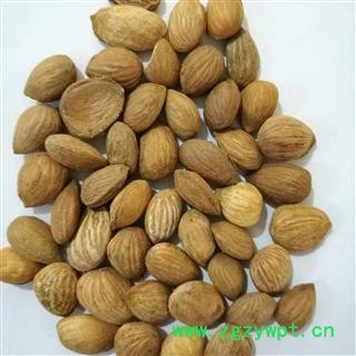 苦杏仁 苦杏仁选货 产地 山东省图2