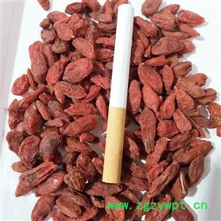 枸杞子 青海枸杞280 产地 青海省图2