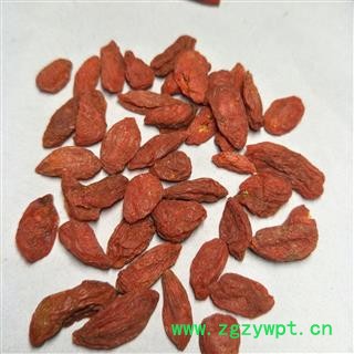 枸杞子 青海枸杞280 产地 青海省图4