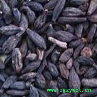 青果 西青果  产地 广西壮族自治区图2