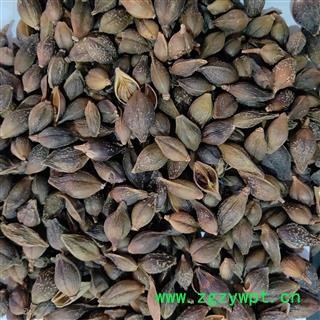 连翘 本店新到无柄连翘选货 产地 河南省图3