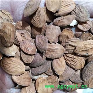 桃仁 新到家生桃仁一般货价格优惠扁生桃仁统货 产地 山东省图4