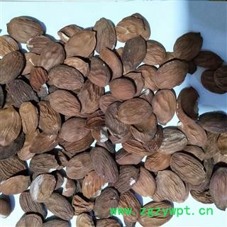 桃仁 新到家生桃仁一般货价格优惠扁生桃仁统货 产地 山东省图3