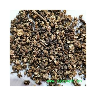 吴茱萸 吴茱萸大花统货 产地 江西省