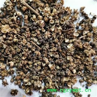 吴茱萸 吴茱萸大花统货 产地 江西省图2