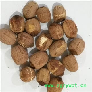 莲子 山东实心红莲子无虫蛀货干净 产地 山东省图2